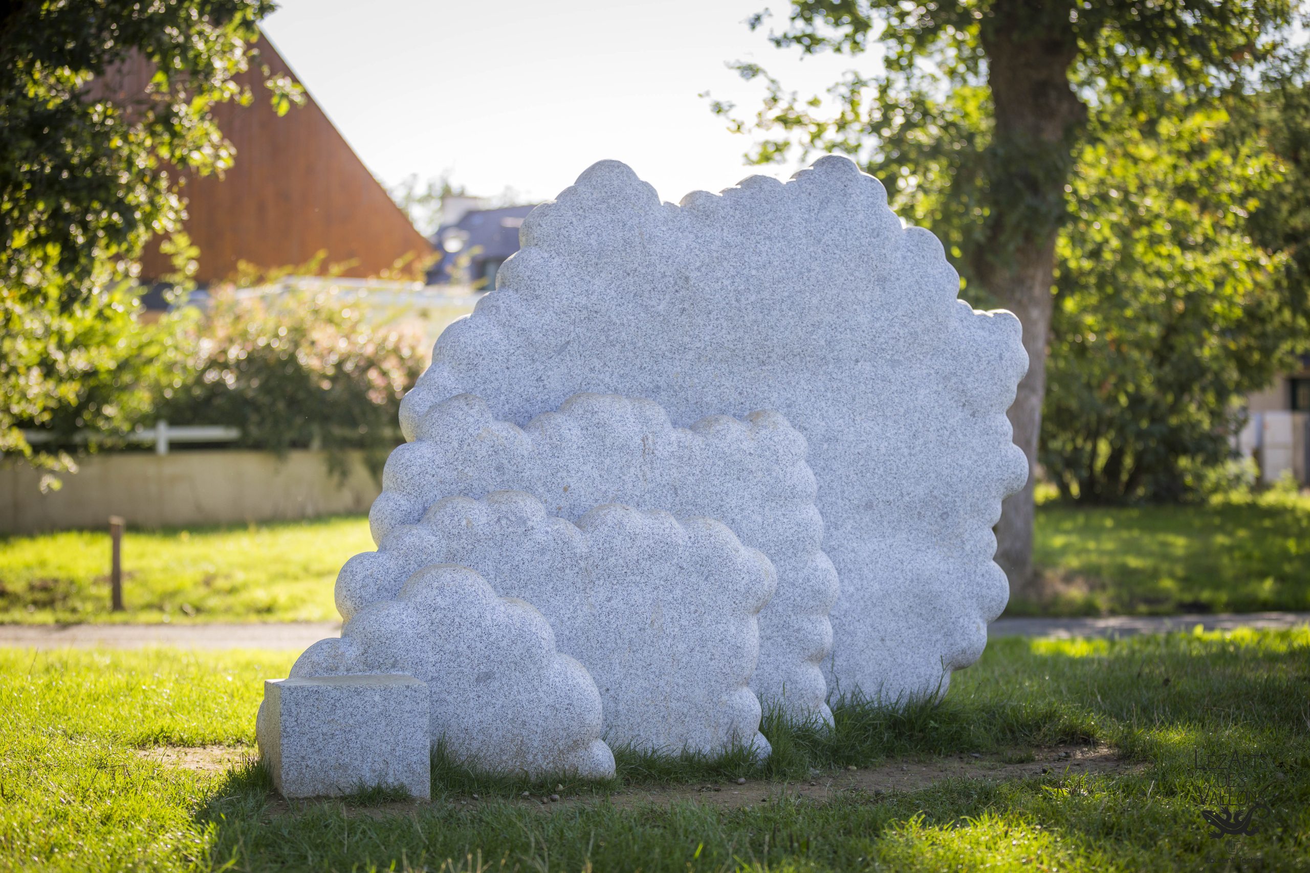 Evolution of a dream