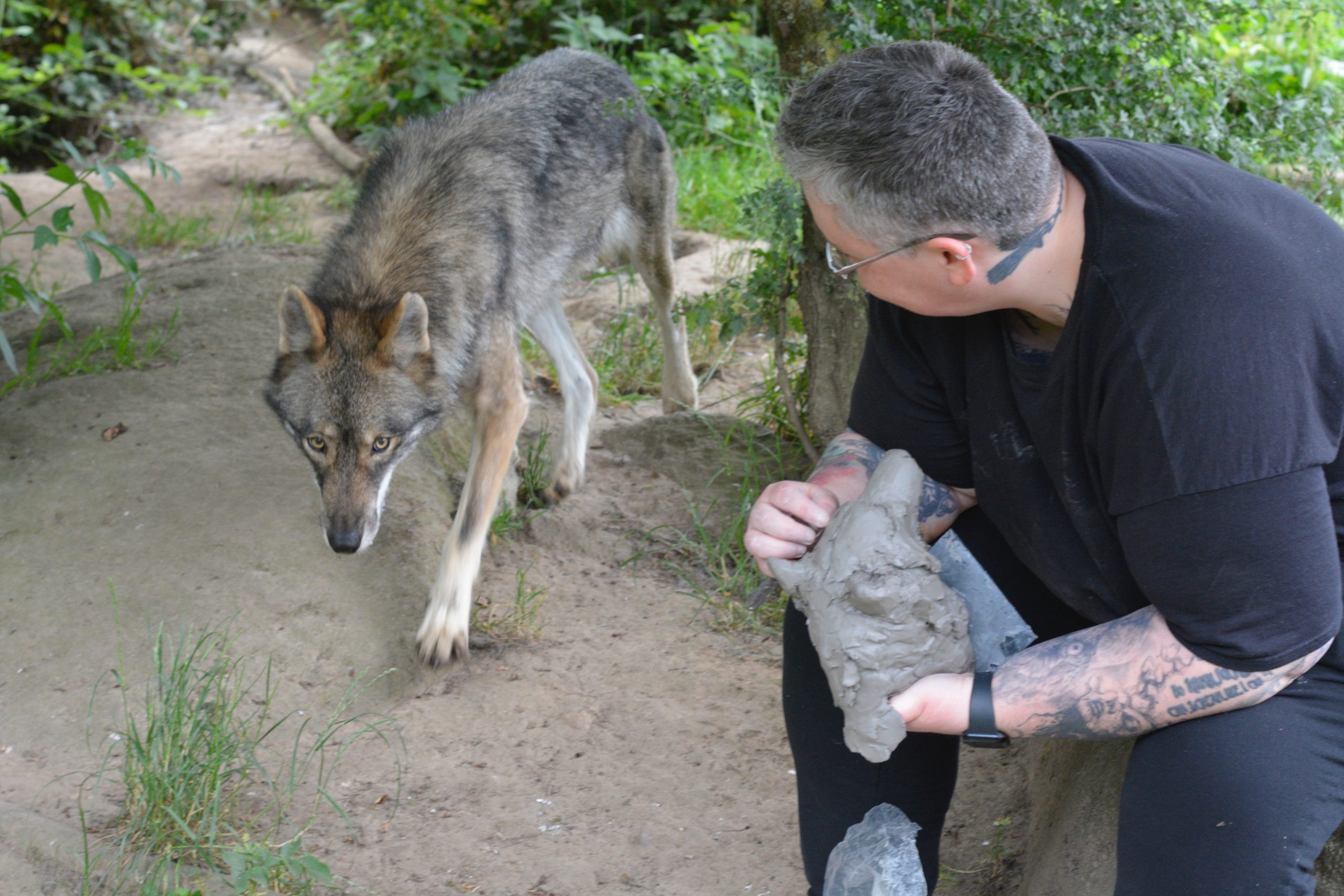 photo Laetitia en train de sculpter une tete de loup